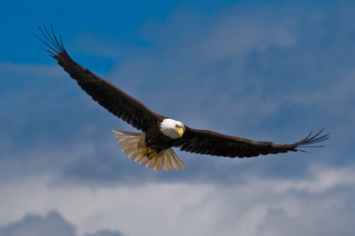 God Governs The Affairs Of Men
